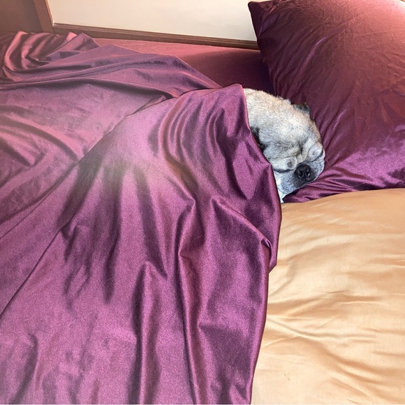 Meet your Posher, Lance - Picture 2 of 11